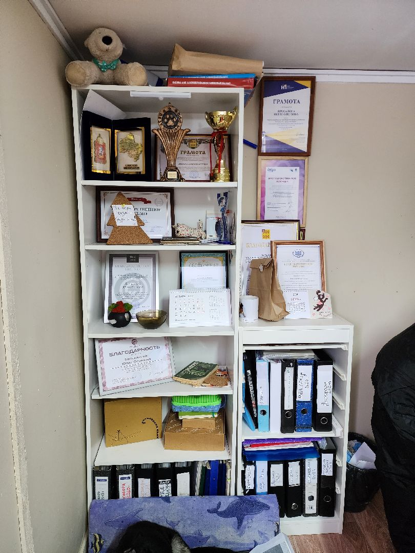 Ногинск, приют, собаки, волонтер,