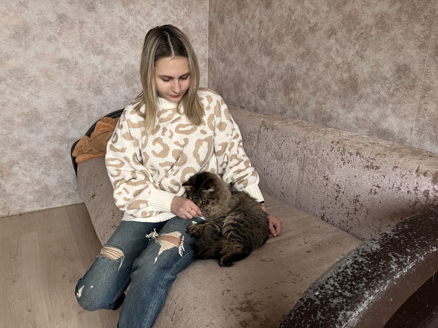 кот, волонтер, зооволонтёр, зоогостинница,