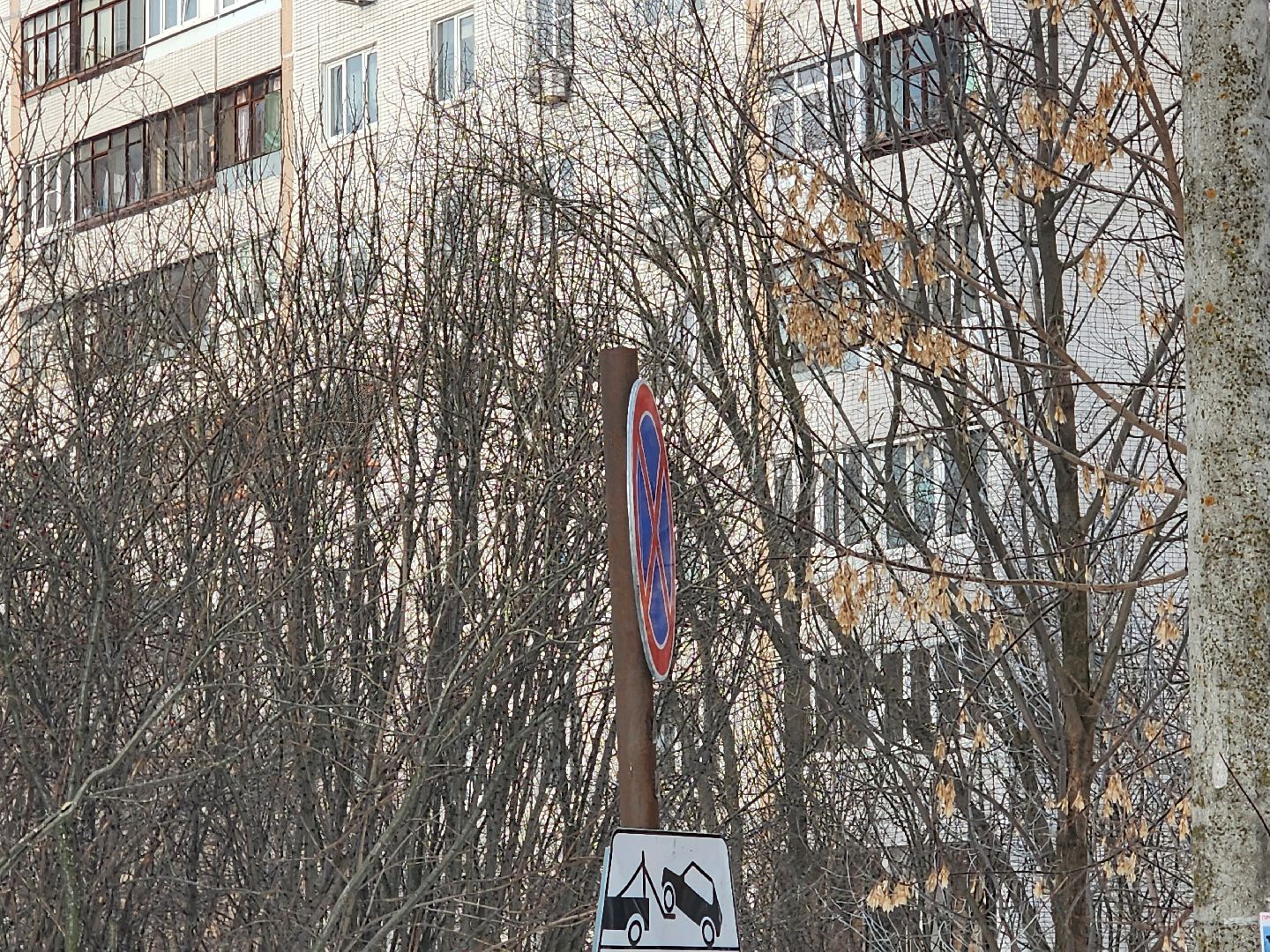 королёв,