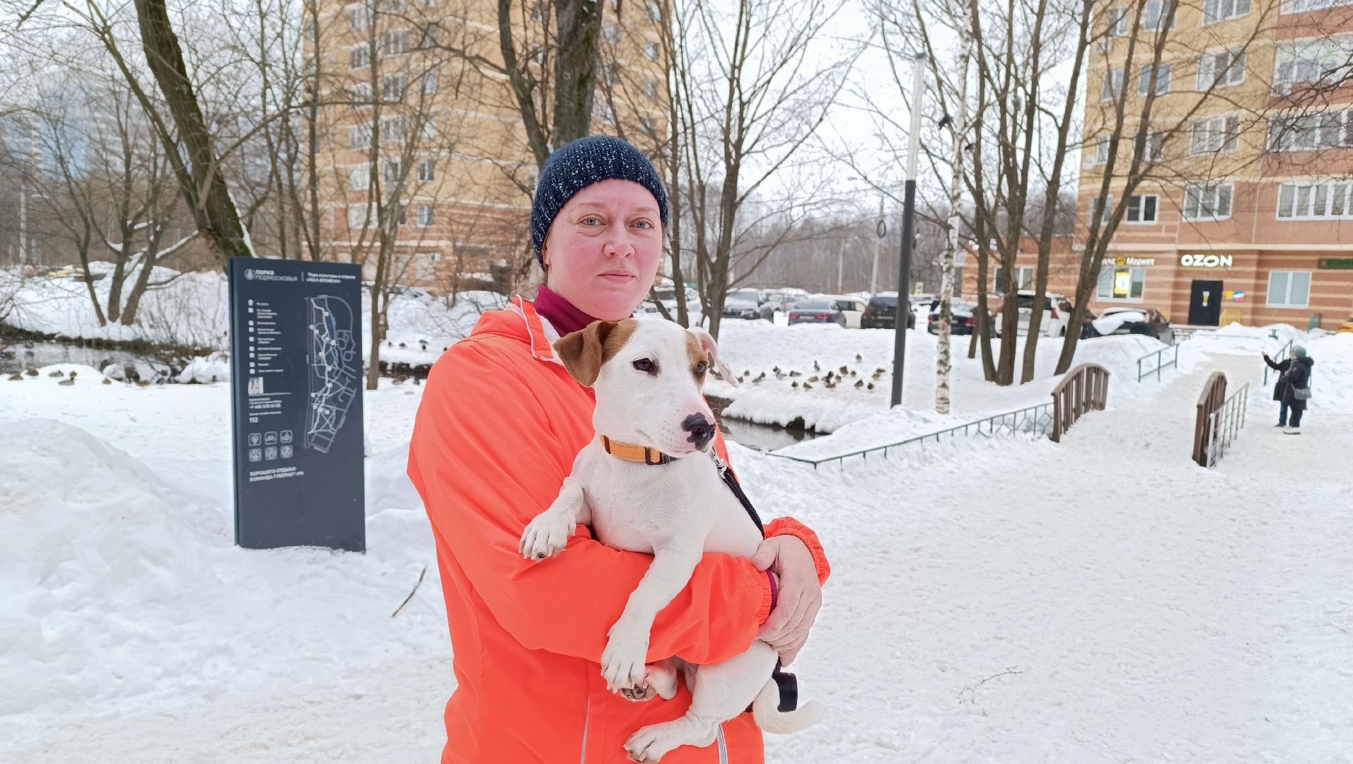 бег, форма, бег в парке, 5 верст,