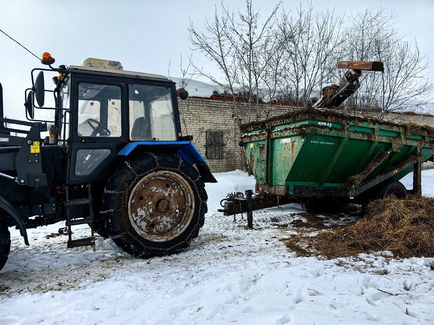 фермер, грант, хозяйство, КРС, поголовье,
