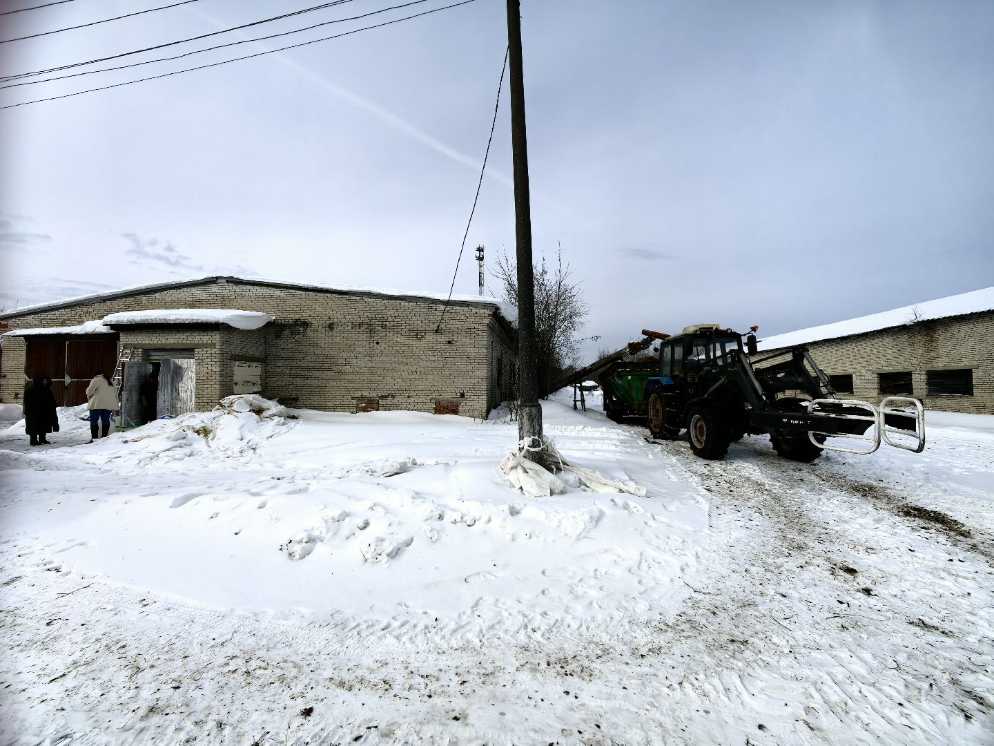 фермер, грант, хозяйство, КРС, поголовье,