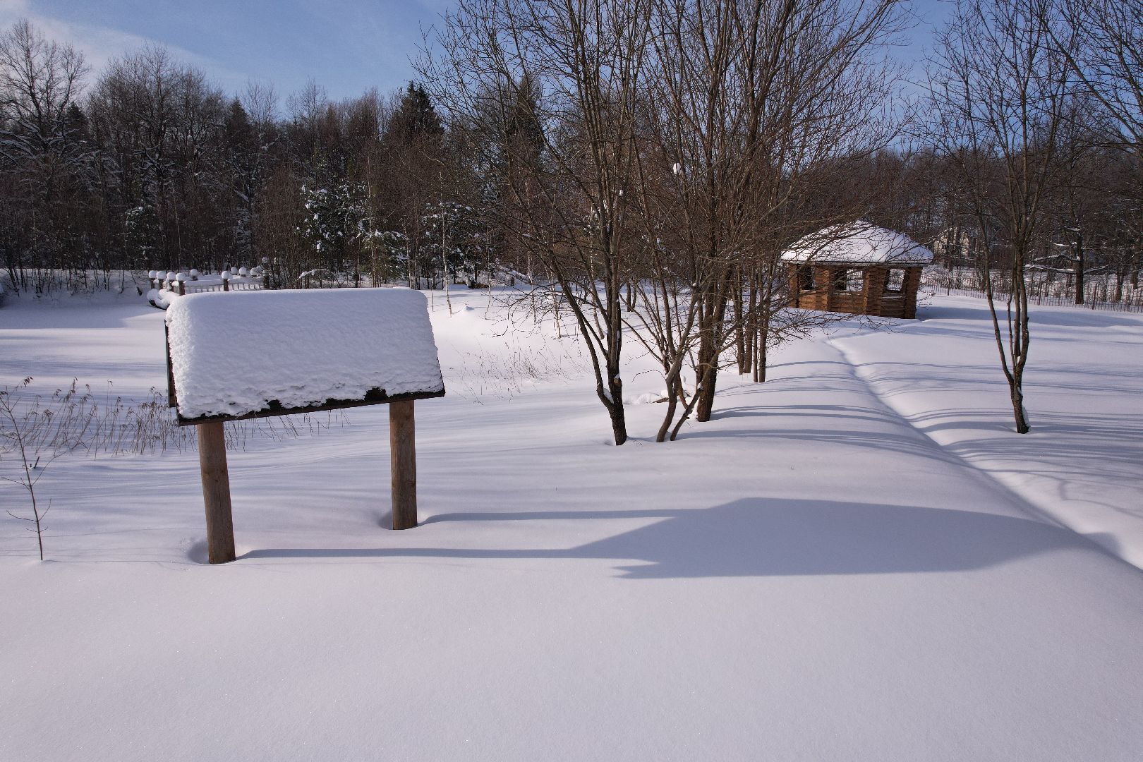 видео с коптера, сергиев посад, культура, театр,