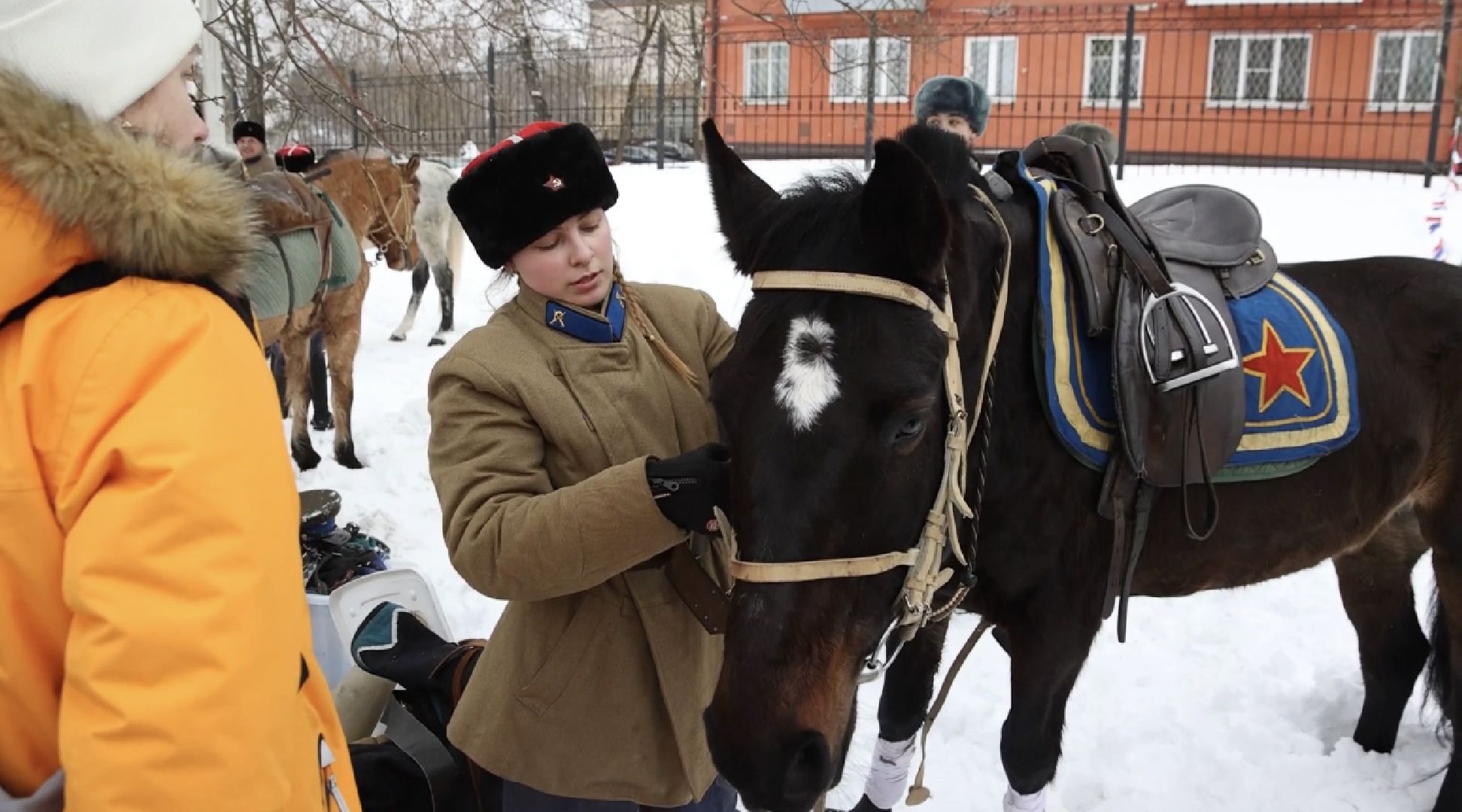 парк, щёлково, культура,