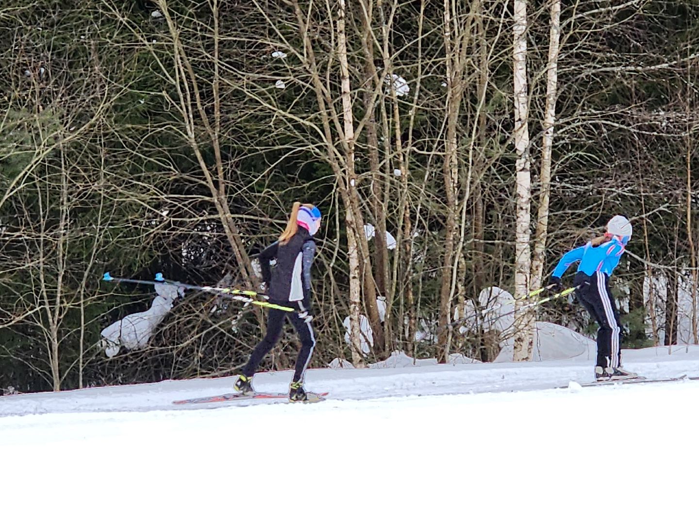 красноармейск, г.о. пушкинский, Старт Легкова, лыжники,