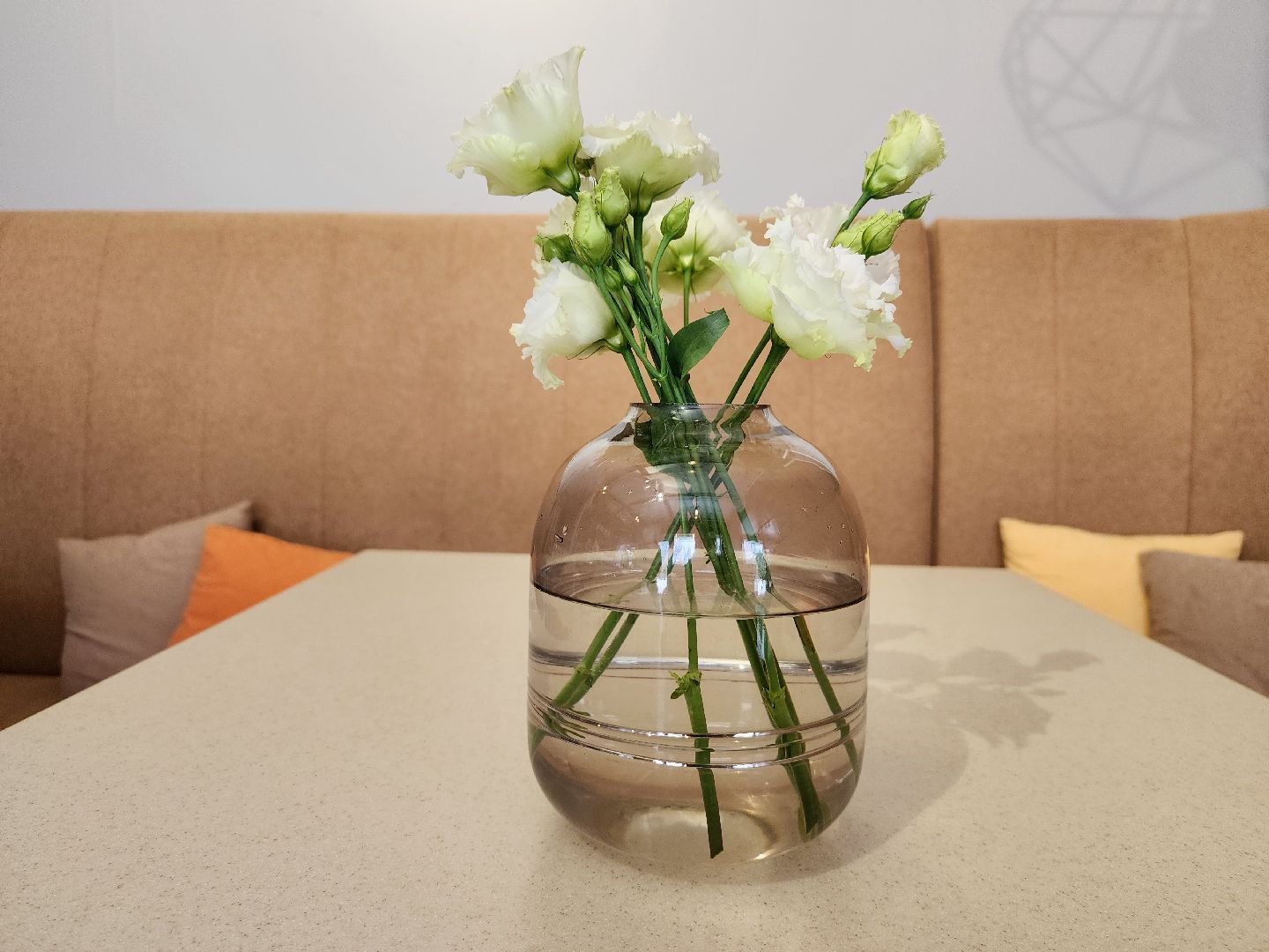 кафе, кофейня, Старая Купавна, Богородский городской округ,