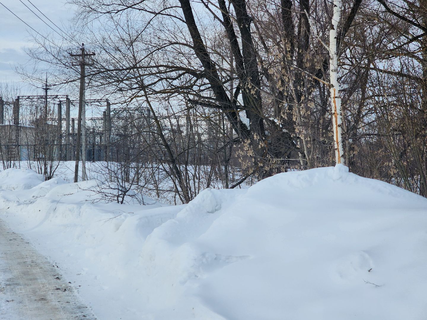 Павловский Посад, Городской округ Павловский Посад, Люди, Благоустройство, зелный узел, Парк,