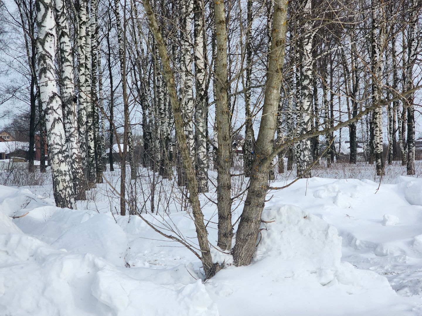 Павловский Посад, Городской округ Павловский Посад, Люди, Благоустройство, зелный узел, Парк,
