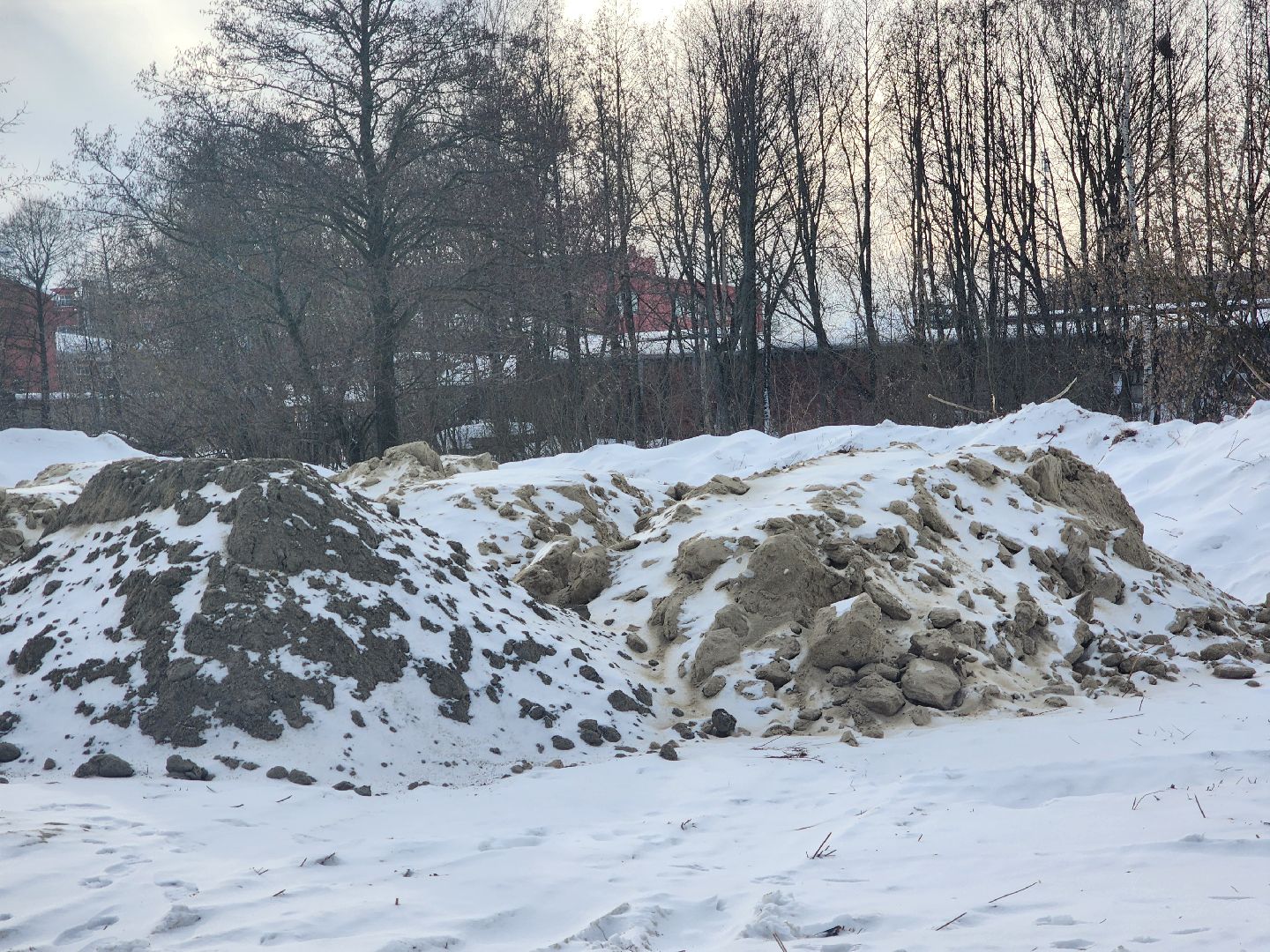 Павловский Посад, Городской округ Павловский Посад, Люди, Благоустройство, зелный узел, Парк,