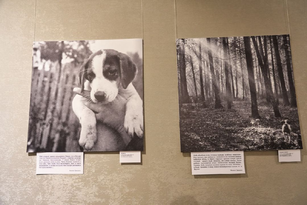 Сергиев Посад