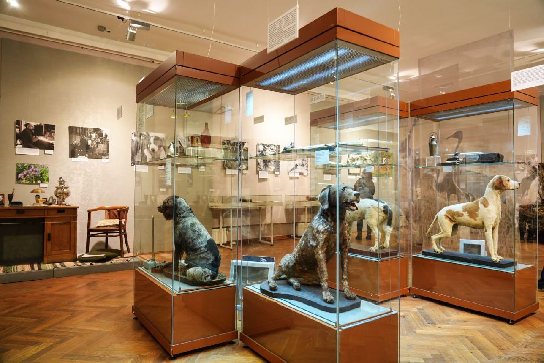 Сергиев Посад