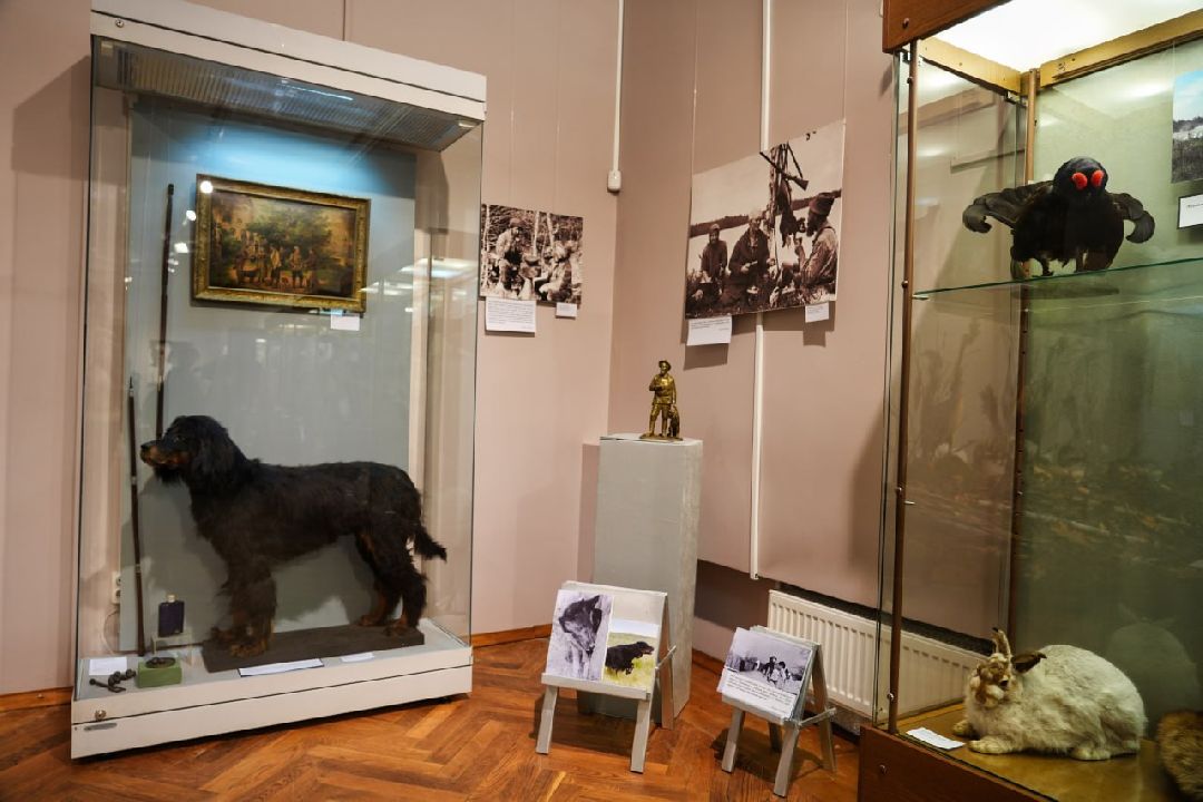 Сергиев Посад