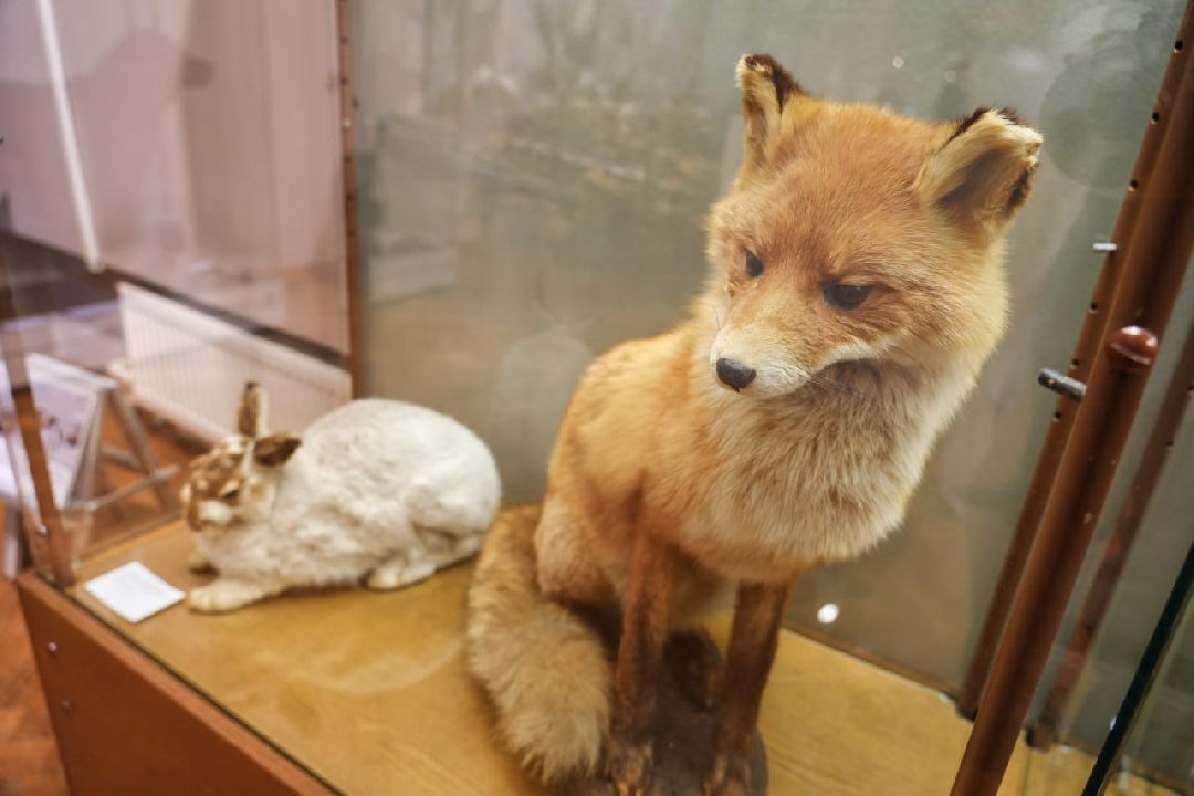 Сергиев Посад