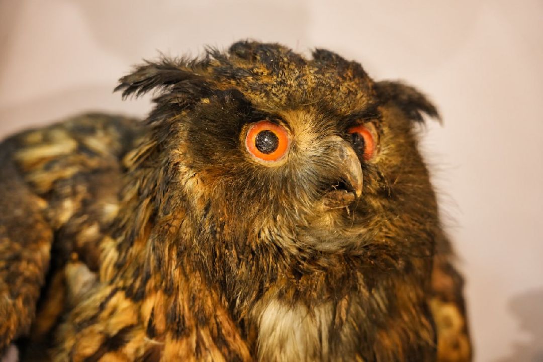 Сергиев Посад