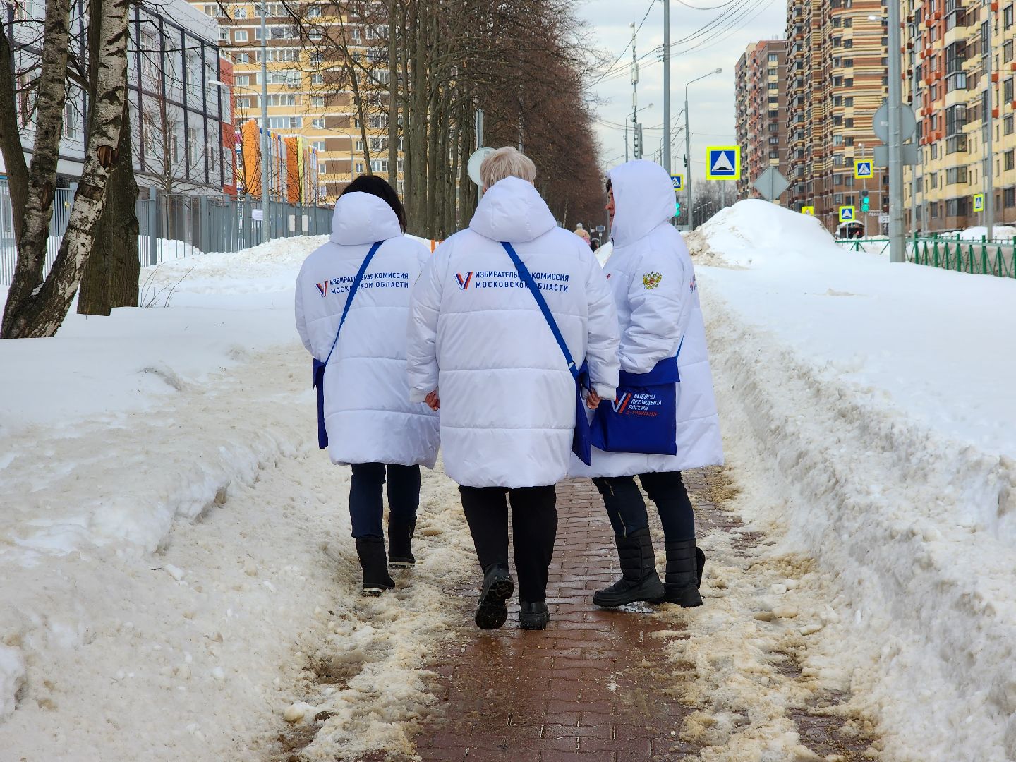 выборы 2024, пушкино, президентские выборы, избирательное право, избиратели,