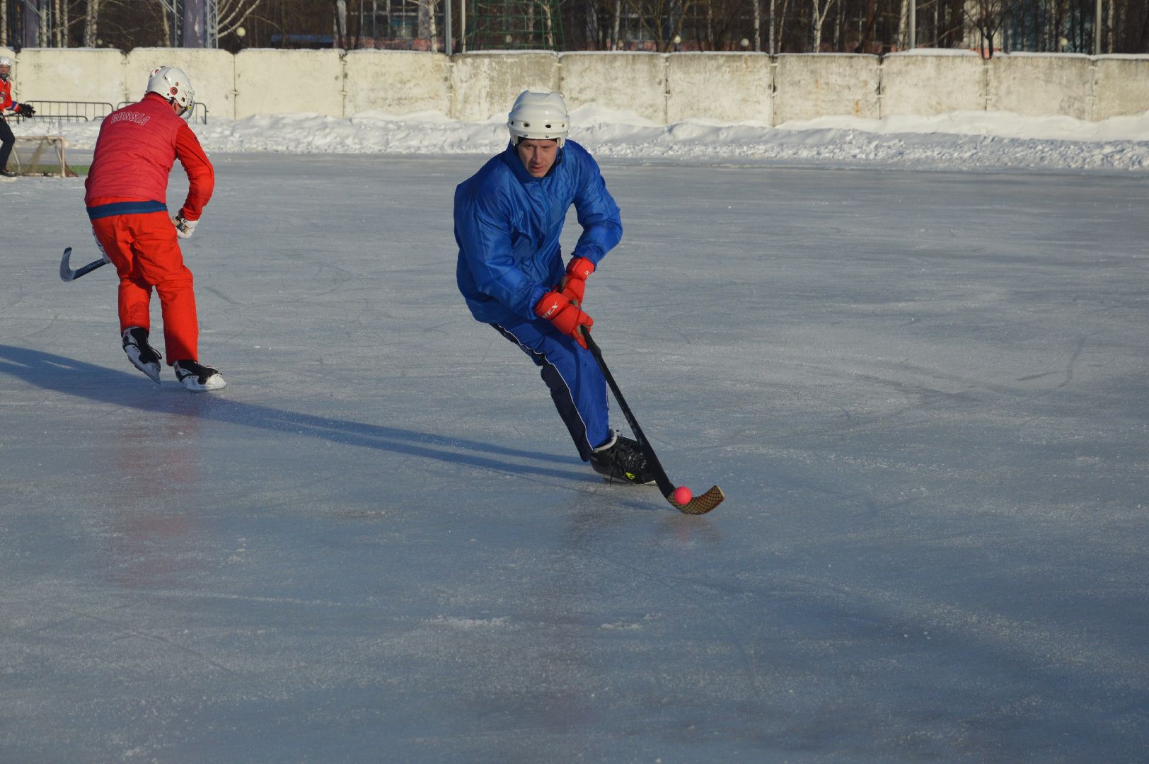 шатура, хоккей с мячом, энергия, энергия жизни, тренировка,