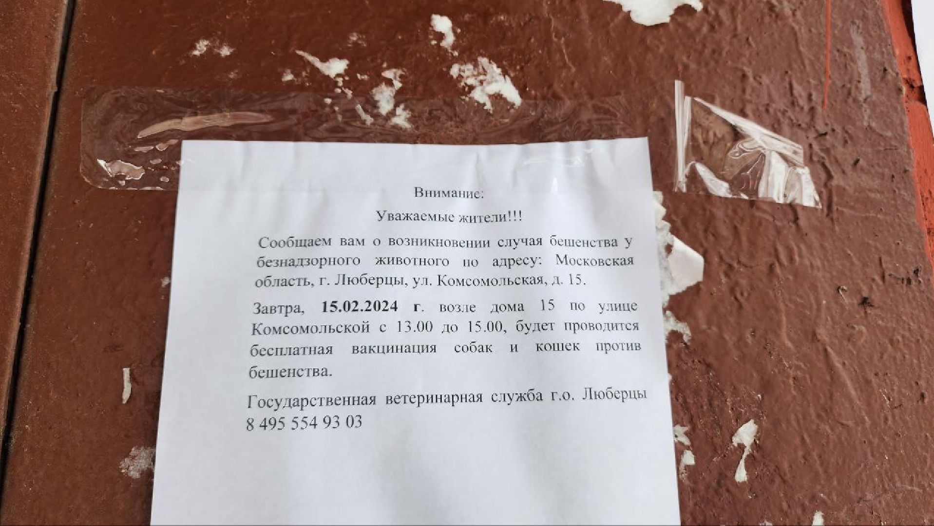 Люберцы, Люберецкая станция по борьбе с болезнями животных, профилактика,