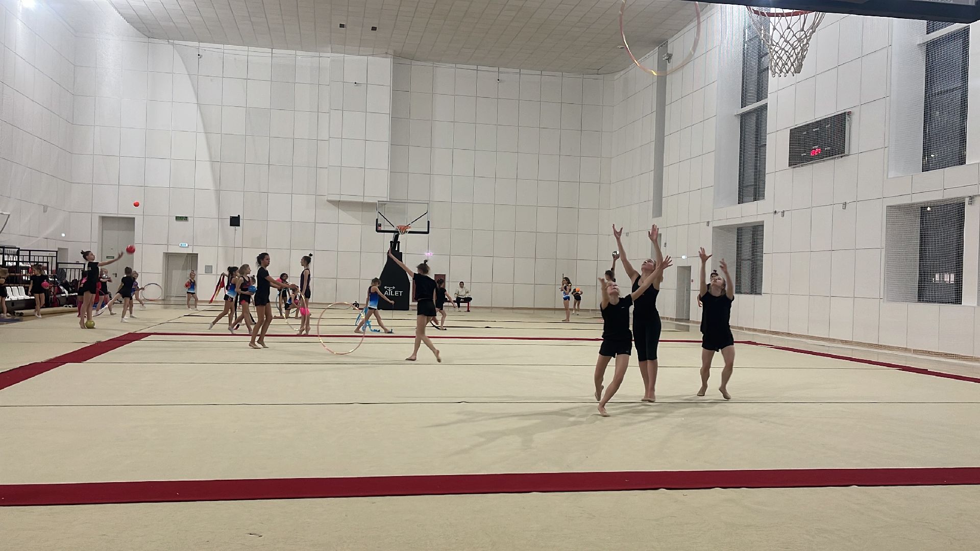 художественная гимнастика, школа олимпийского резерва, стадион труд, балашиха,