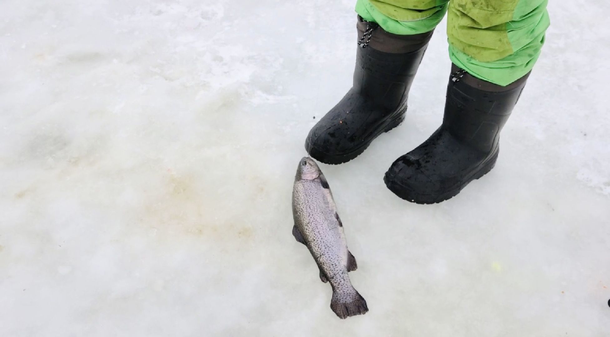 Щёлково, рыбалка,