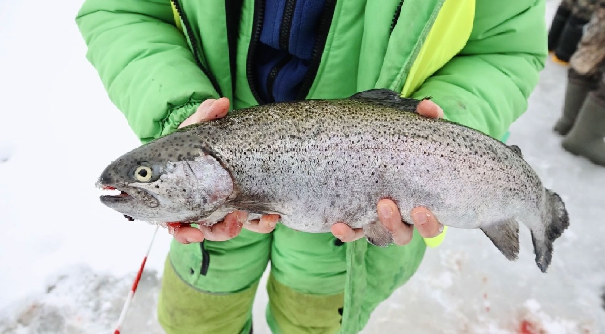 Щёлково, рыбалка,