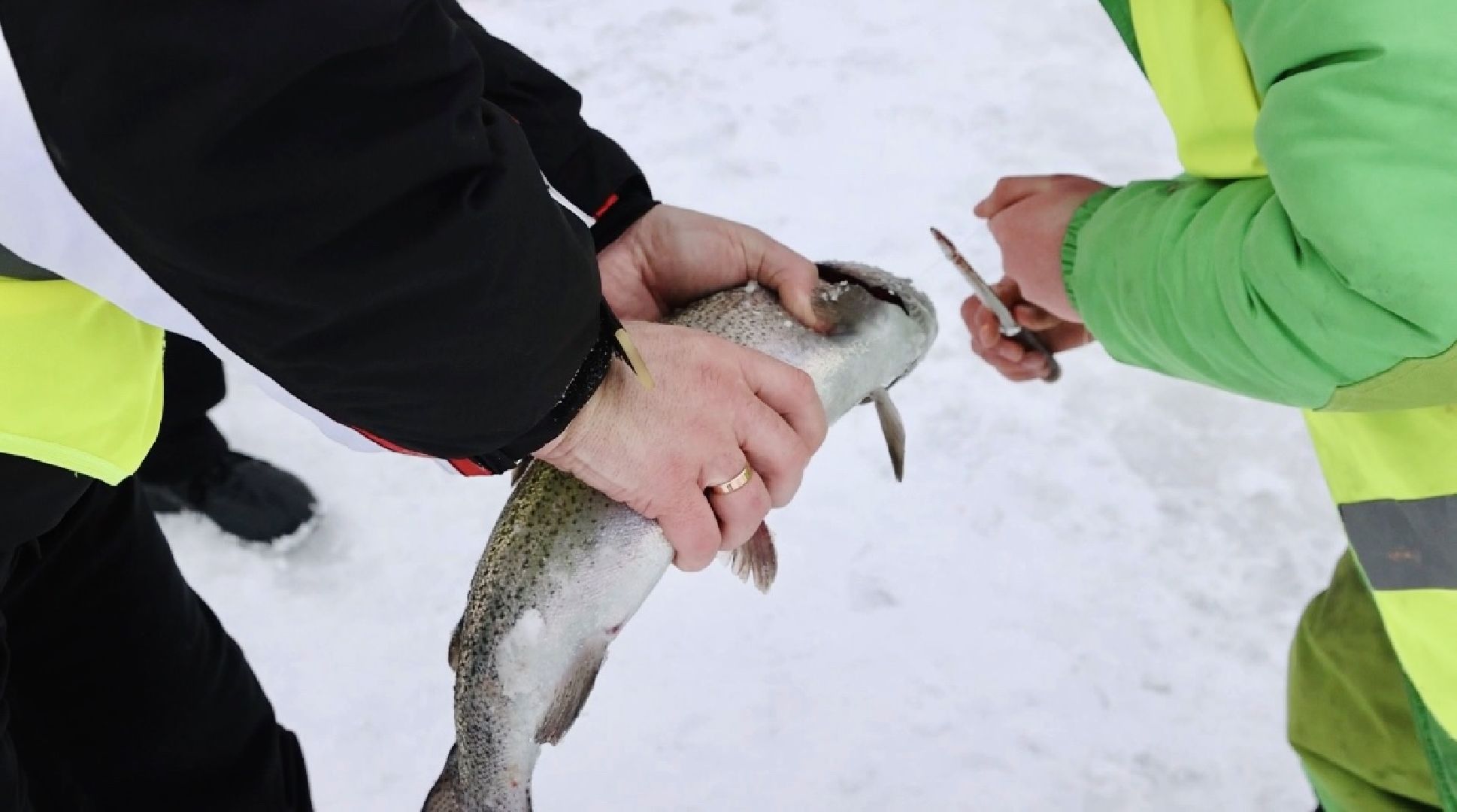 Щёлково, рыбалка,