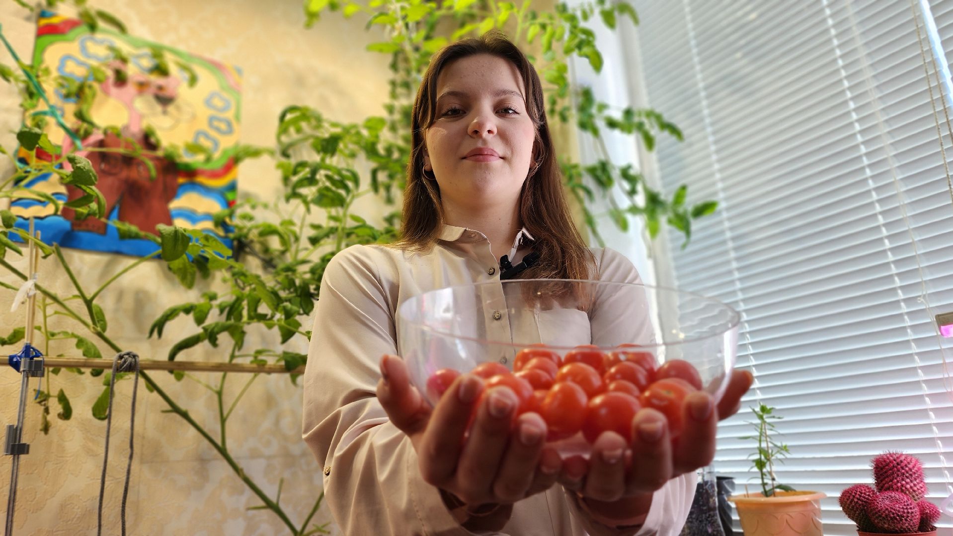 Ступино, Школа Малино Ступино, Малино поселок,