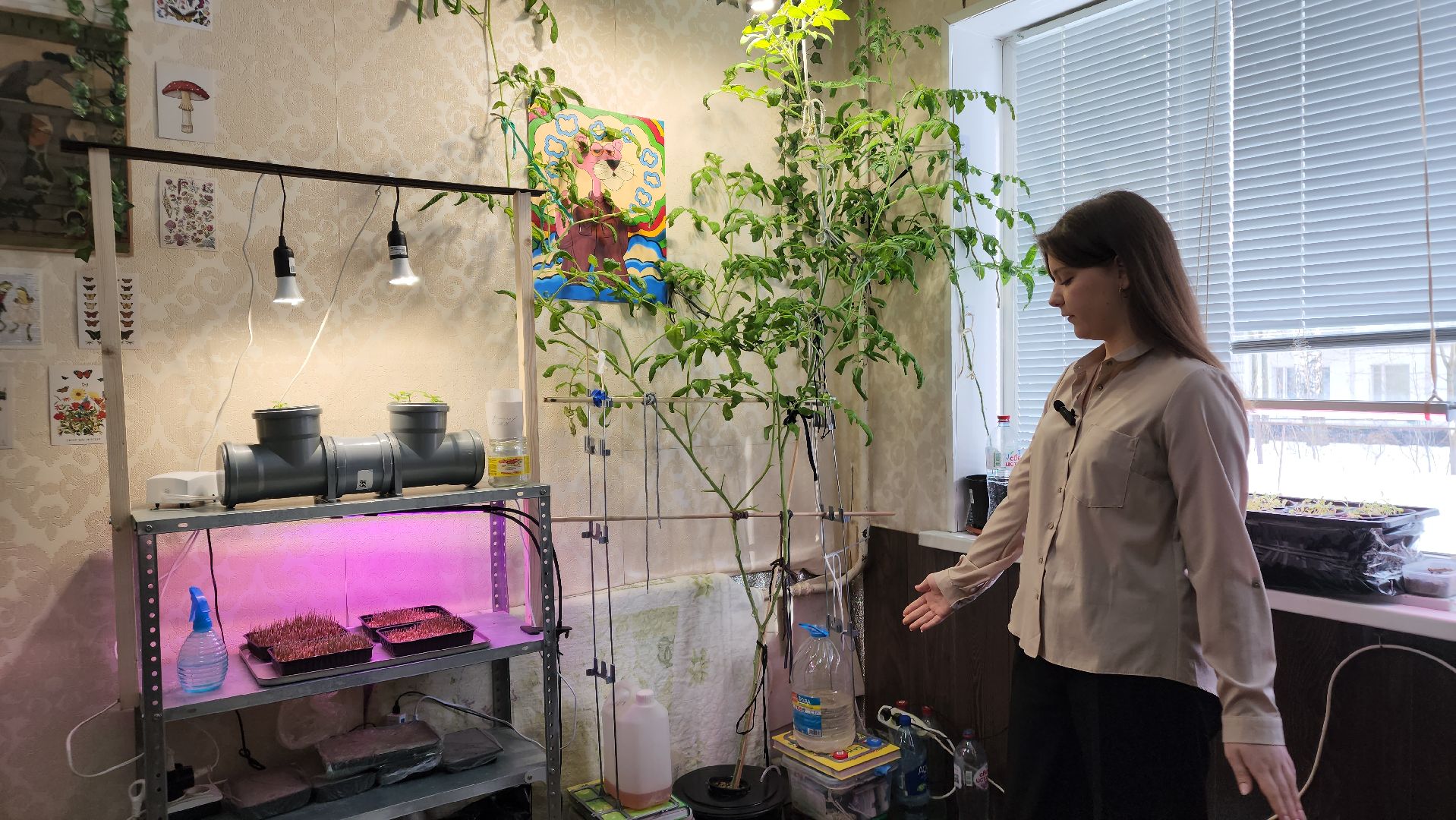 Ступино, Школа Малино Ступино, Малино поселок,