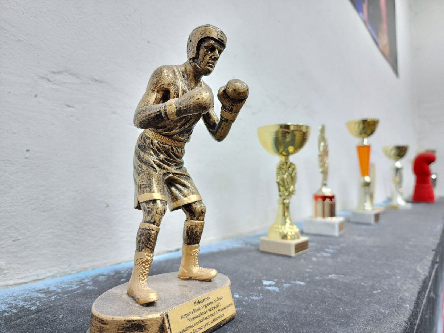 можайск, можайский городской округ, подмосковье, спорт, школа бокса, воспитанники, тренировки, наше подмосковье, губернатор, мастер спорта россии,