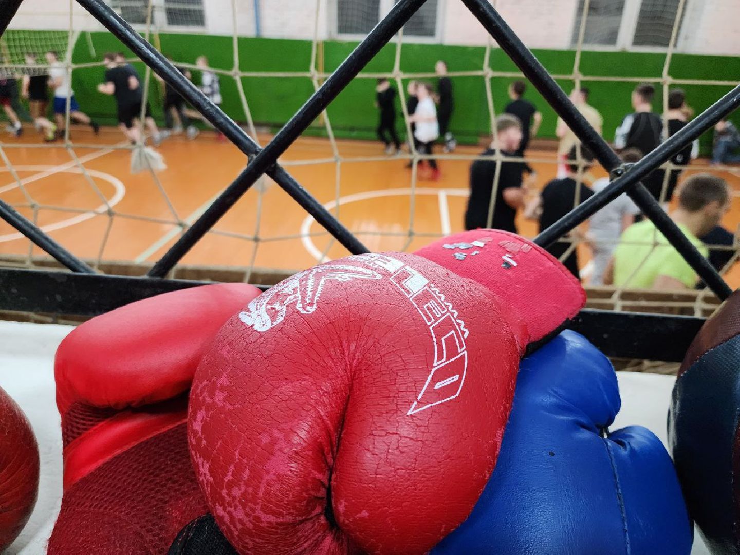 можайск, можайский городской округ, подмосковье, спорт, школа бокса, воспитанники, тренировки, наше подмосковье, губернатор, мастер спорта россии,