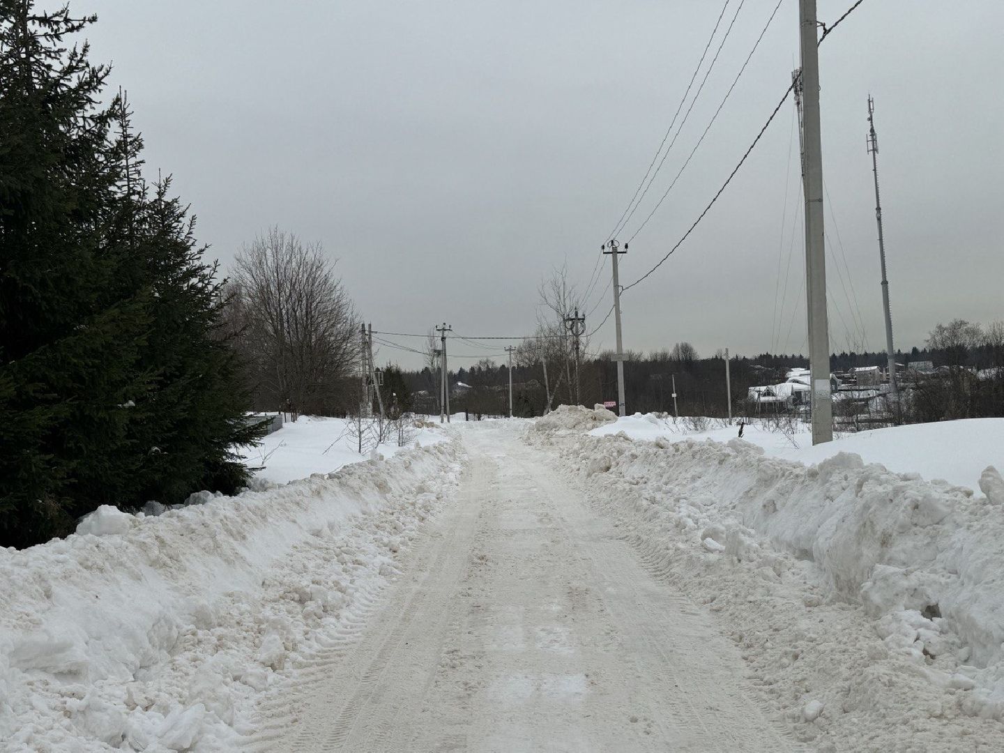 Подмосковье, Городской округ Пушкинский, Ашукино, выездная администрация, МКУ Ашукино,