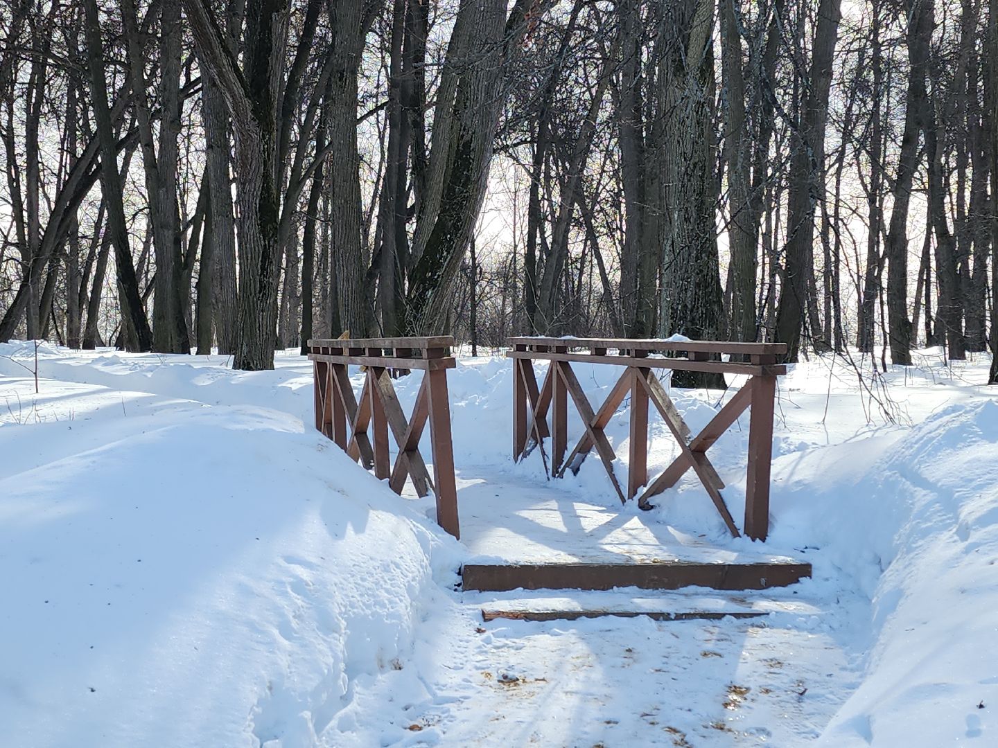 зарайск, культура, даровое,