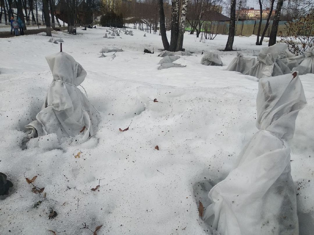 Дмитров, Историческая площадь, минблагоустройство МО