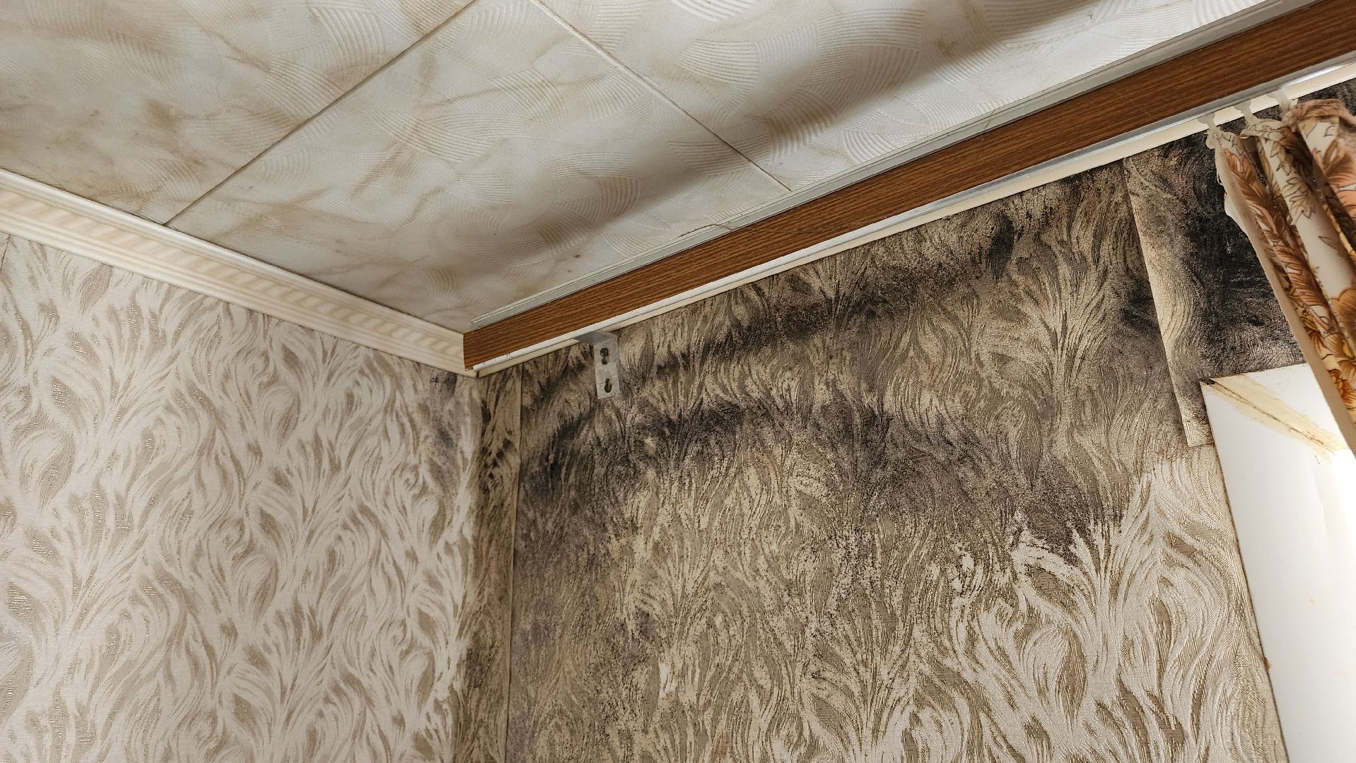 кашира, большое руново, выездная администрация, жкх, кровля, муниципальное жилье, санузел, ремонт,