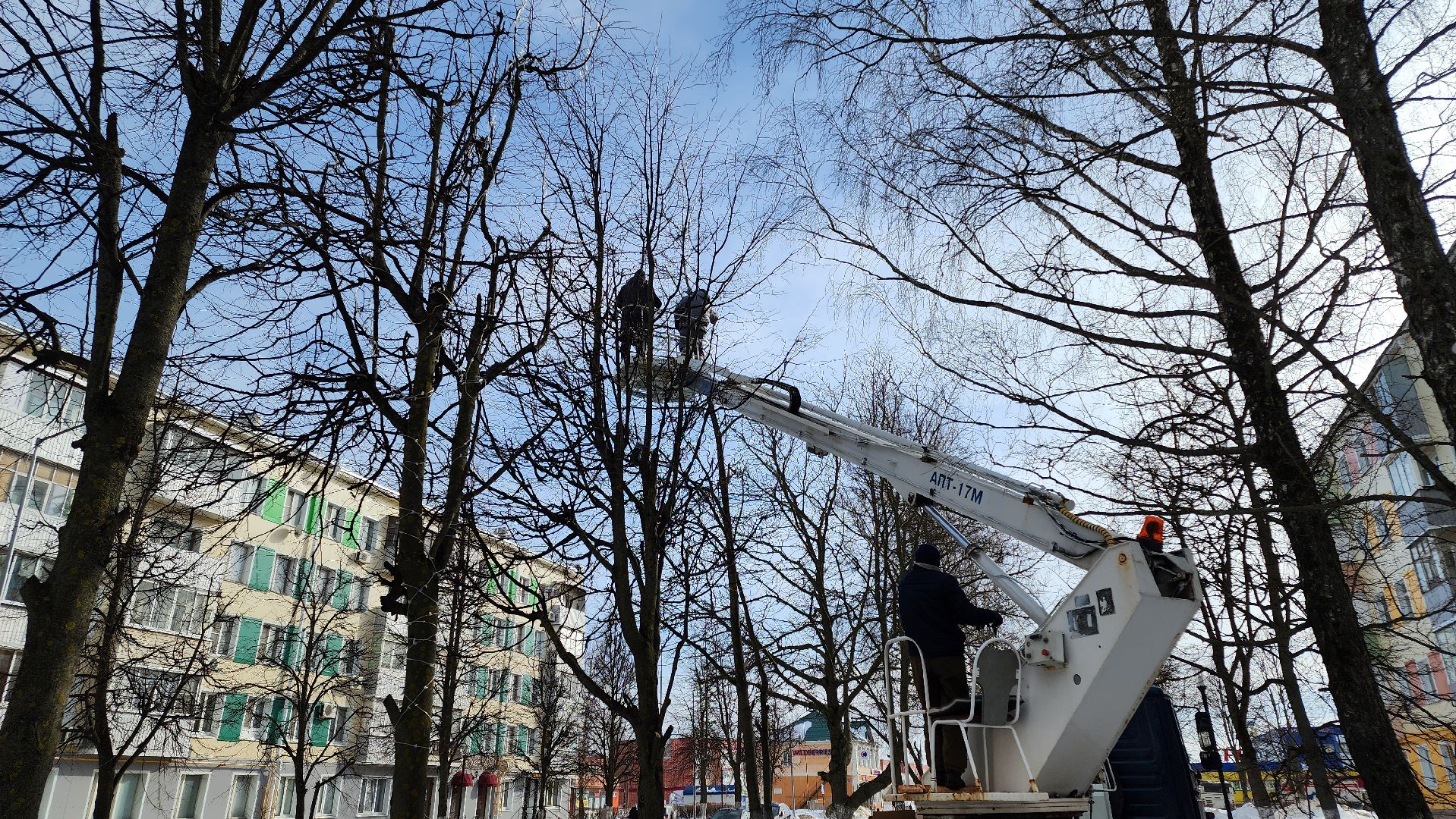 кашира, садовая, гирлянды, морозостойкие, уличное освещение, иллюминация, благоустройство,