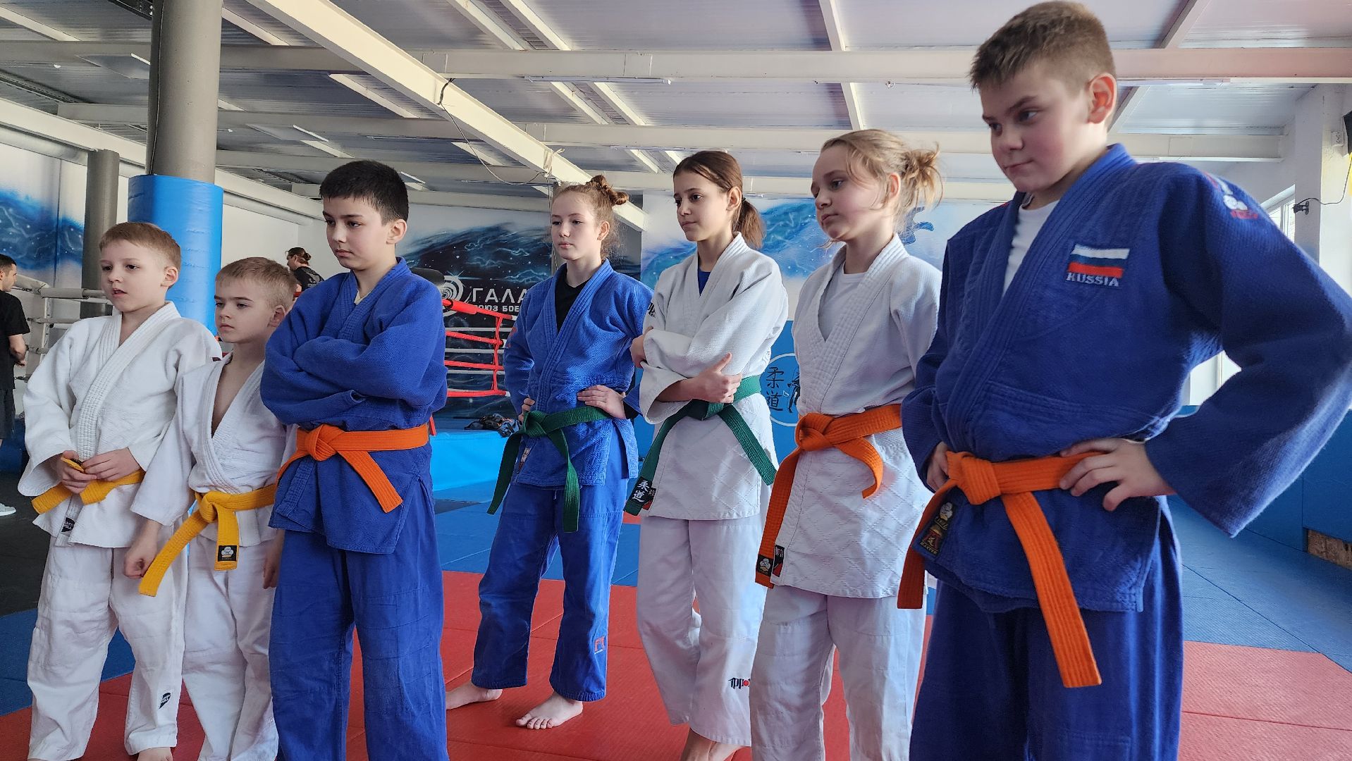 Домодедово, Подмосковье, Дзюдо, Соревнования, Спорт, Боевые искусства, чемпионат московской области, ЦФО, Тренер, Спортсмены,