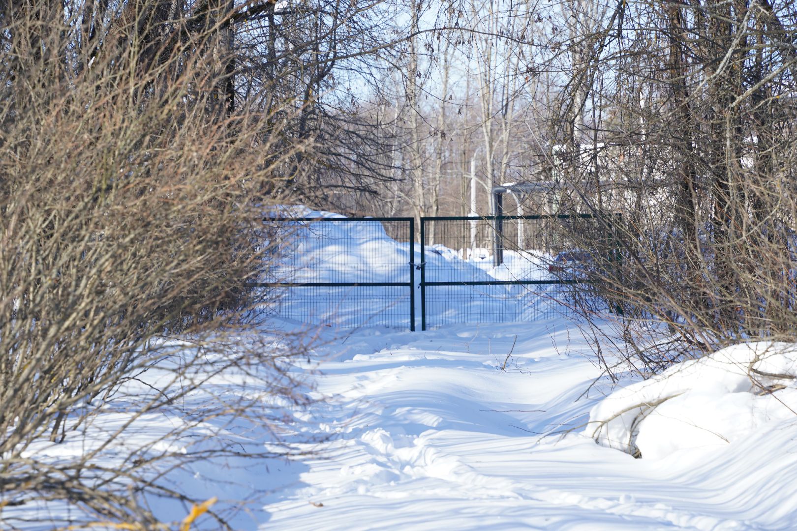 Рошаль, выездная администрация, встреча с жителями, Большая Шатура, диалог с властью, Шатурская больница,