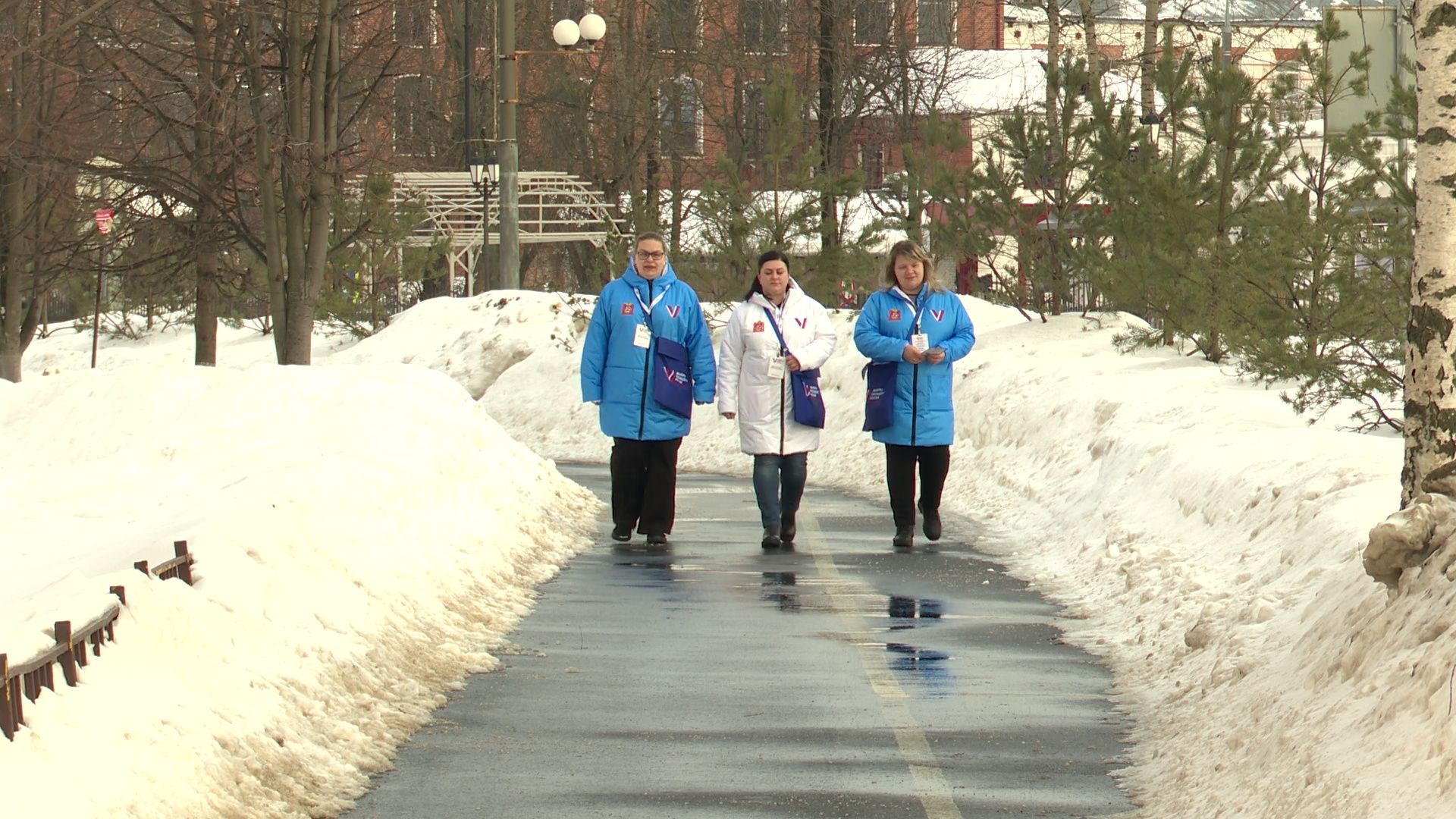 Реутов, выборы, избиратели, обход, комиссия,