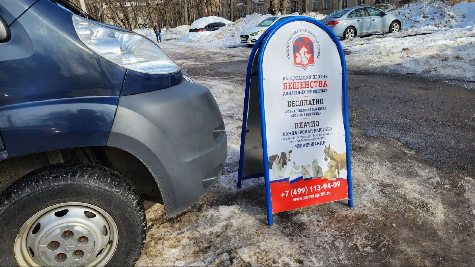 люберцы, вакцинация, карантин, Люберецкая станция по борьбе с болезнями животных,