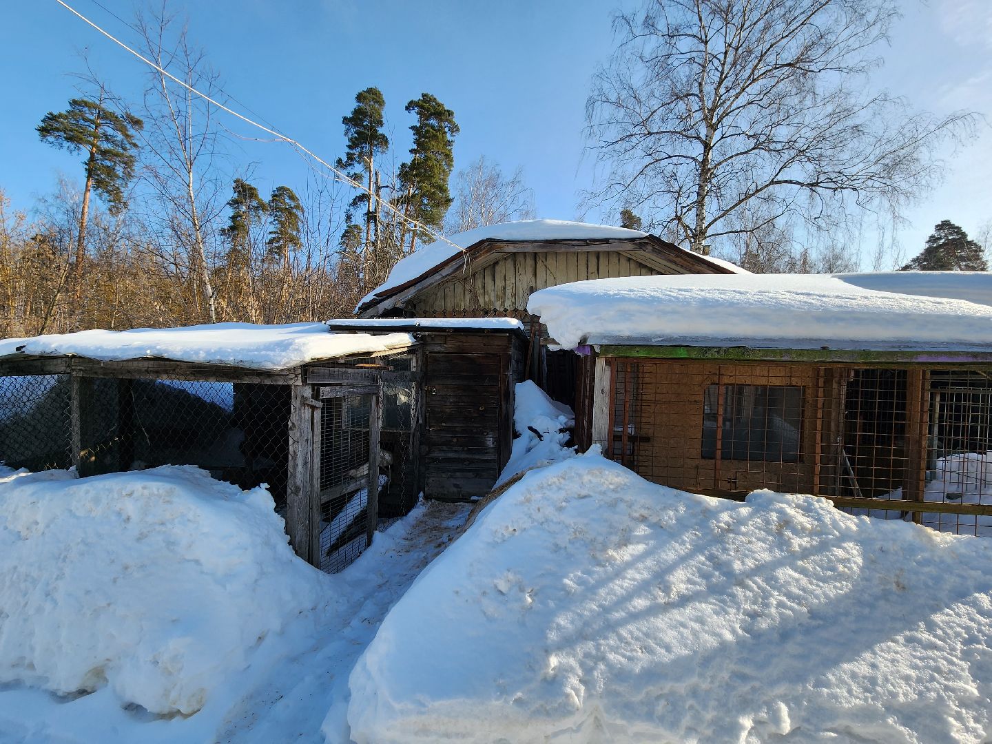 ногинск, культура, дом, история,