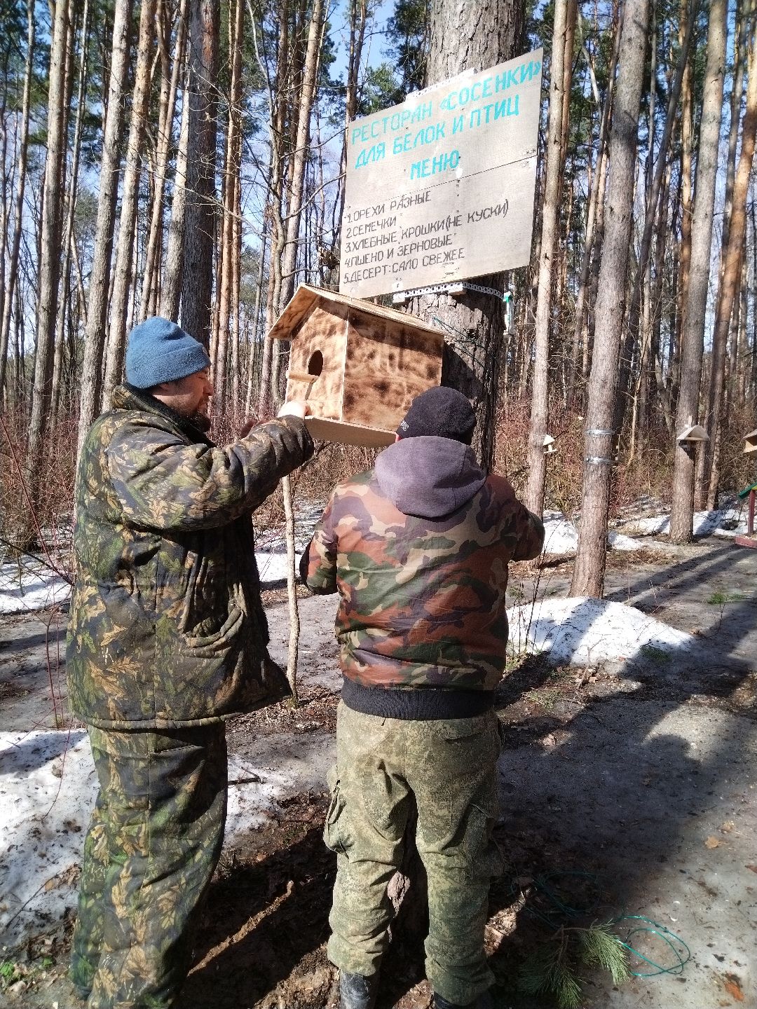 Скворечник для птиц, Минэкологии, Мытищи, Сбербанк
