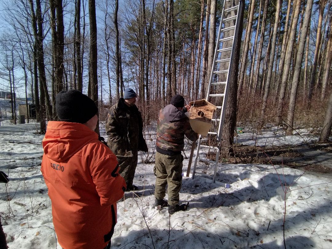 Скворечник для птиц, Минэкологии, Мытищи, Сбербанк