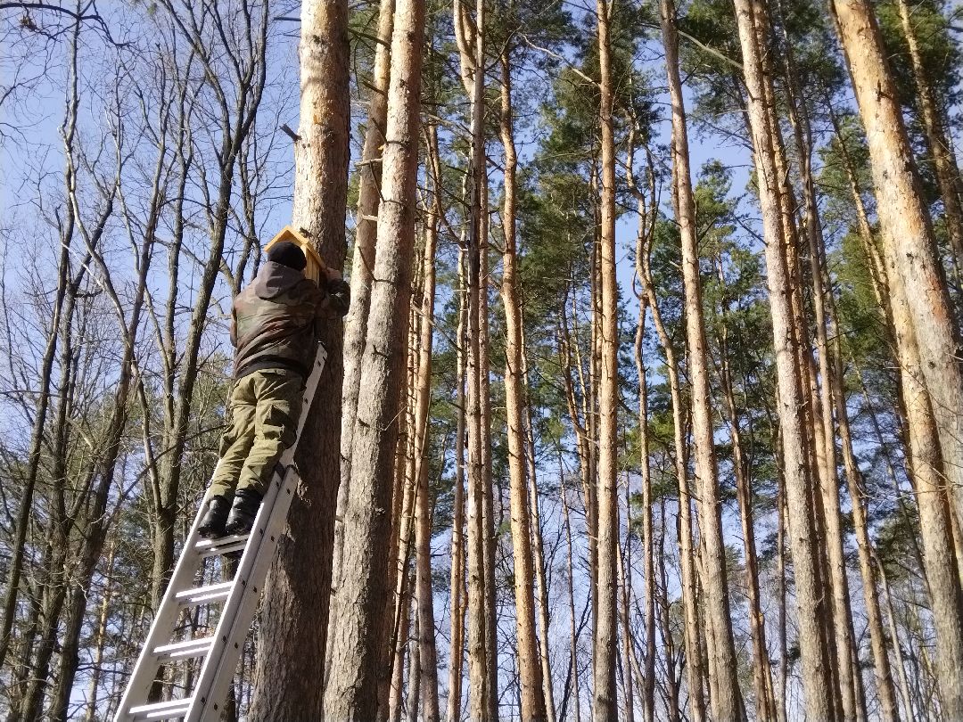 Скворечник для птиц, Минэкологии, Мытищи, Сбербанк