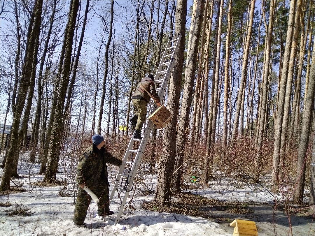 Скворечник для птиц, Минэкологии, Мытищи, Сбербанк
