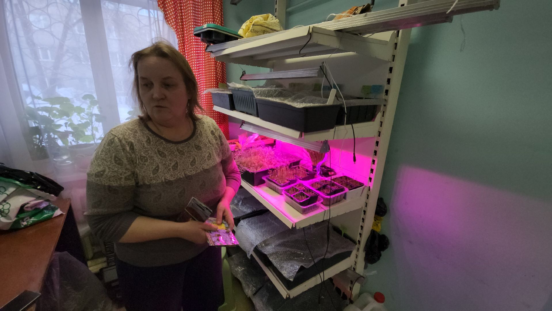 Город-сад, Союз садоводов России, волонтеры, озеленение, цветы, рассада, Ольга Пушкарева,