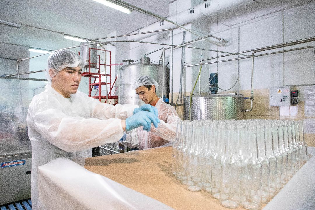 лыткарино, Комбуча