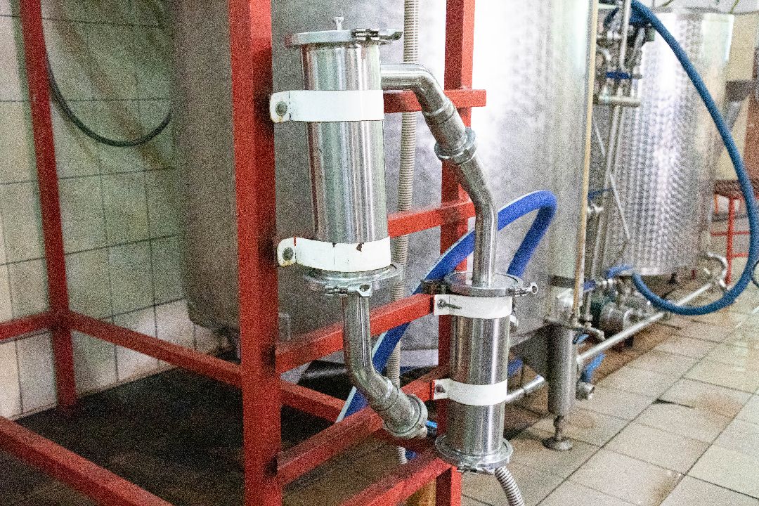 лыткарино, Комбуча