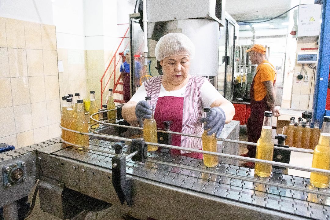 лыткарино, Комбуча