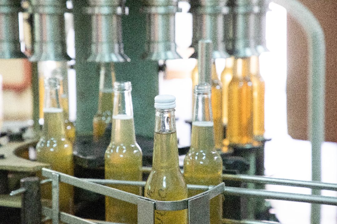 лыткарино, Комбуча