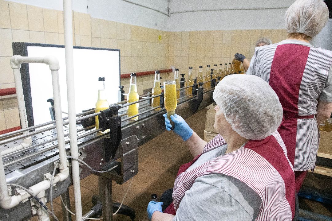 лыткарино, Комбуча