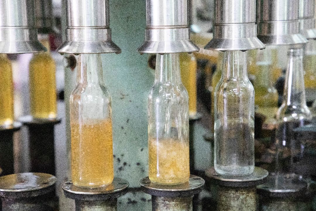 лыткарино, Комбуча